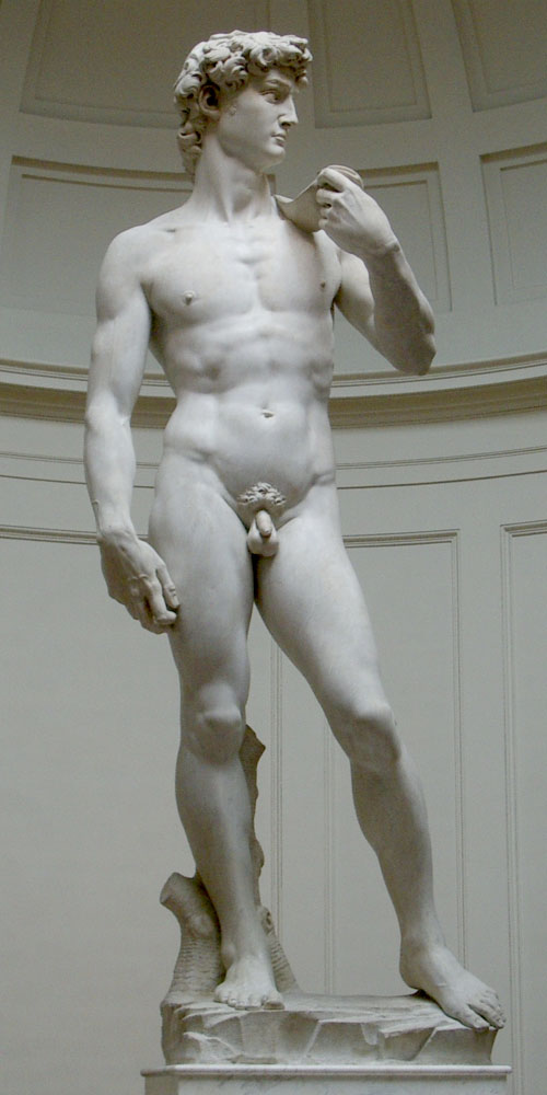 Микеланджело Буаноротти "Давид". Флоренция, 1501-1504.