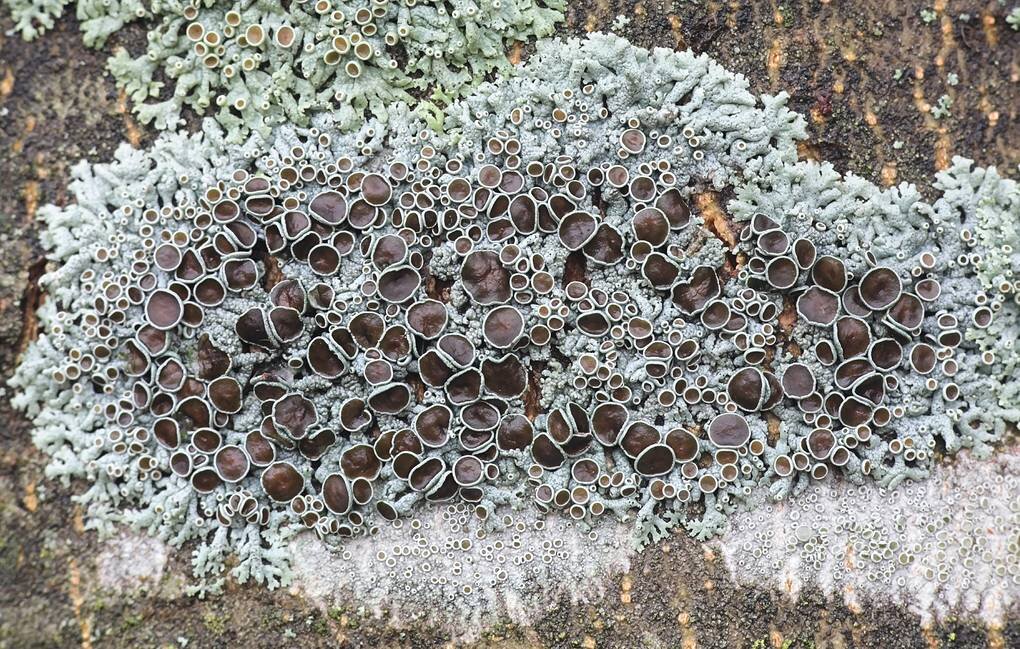 © Henri Koskinen/Shutterstock/FOTODOM