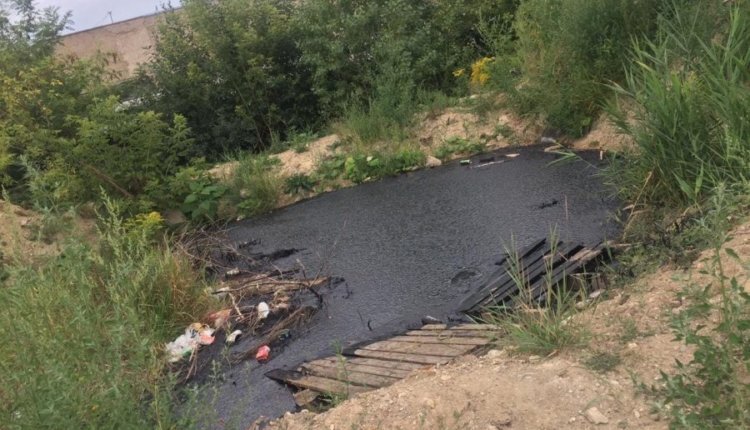 Фото: Юлия Дайнека