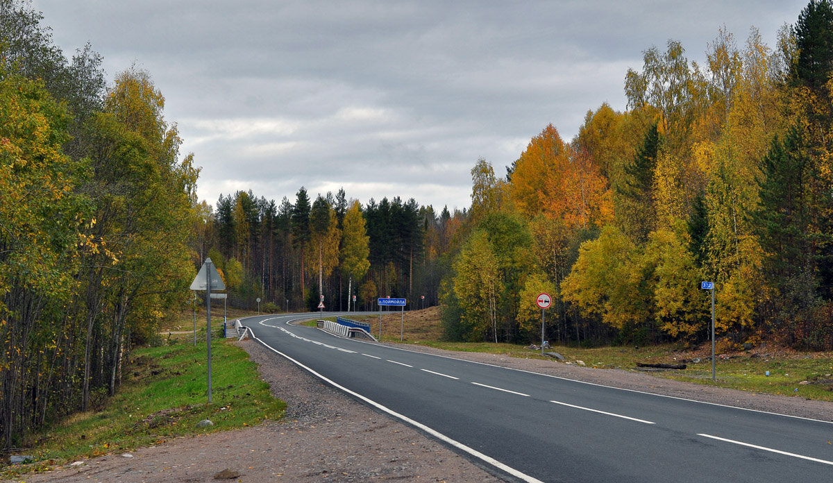 Дорого часто. Р-177 трасса. Р21 (пряжа - Колатсельга - Леметти), 67 км, координаты. Автодорога p152 172 километр Шуйский район. Пряжа Леметти 141 км.