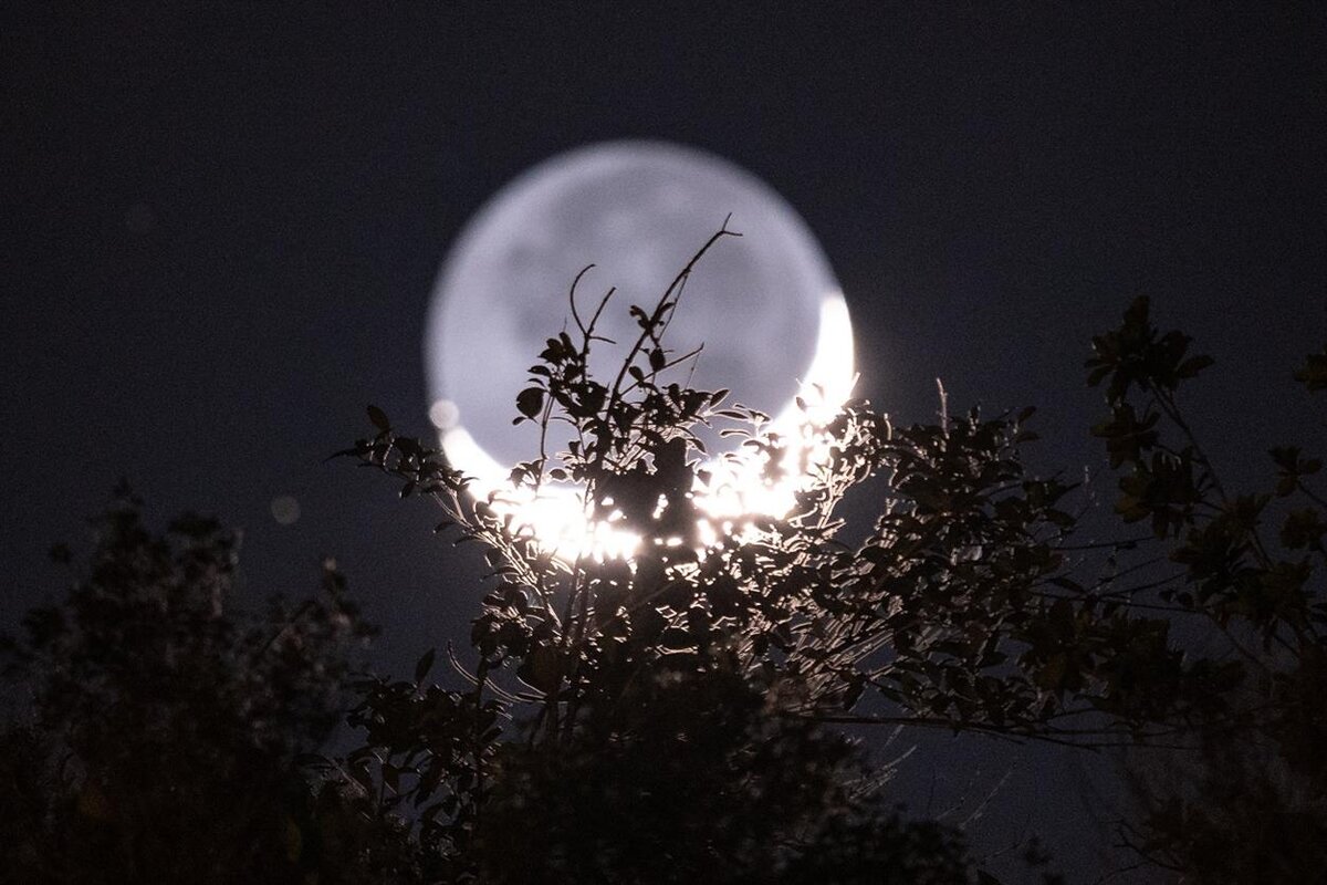 Foto de Alexis Antonio en Unsplash