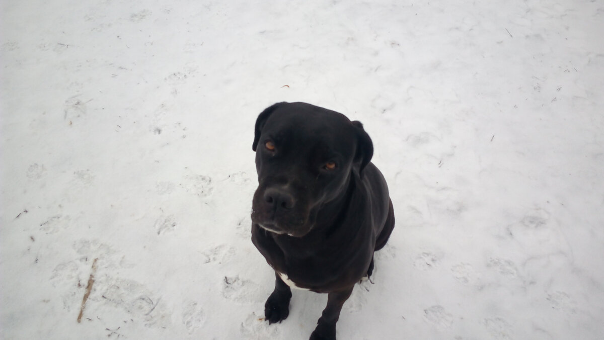 "А не пора ли нам домой, холодно!" Фото и все последующие - из архива  автора.