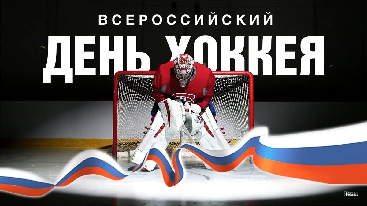 Всероссийский день хоккея. Иллюстрация: «Курьер.Среда»