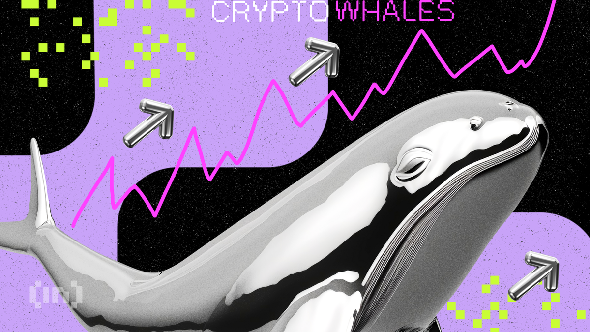 Crypto whale кто это. Crypto Whale. Биткоин кит. Перемещение китов. Top Crypto Whales.