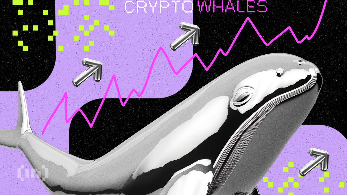 Crypto Whale. Биткоин кит. Перемещение китов. Top Crypto Whales.