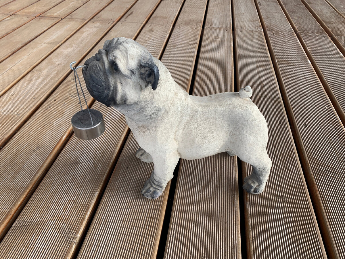 Наша лже-Мехрюмаша не хрюкает даже)