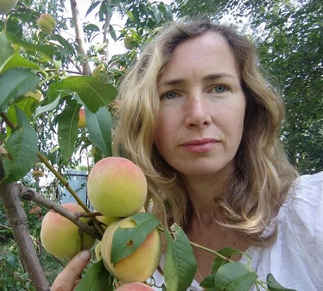 Еще одно чудо - увидела как растут персики!