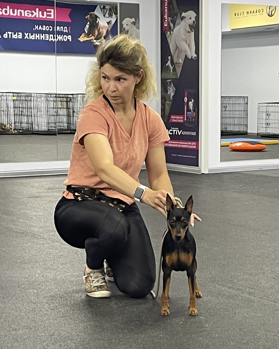 Наш хендлер Александра