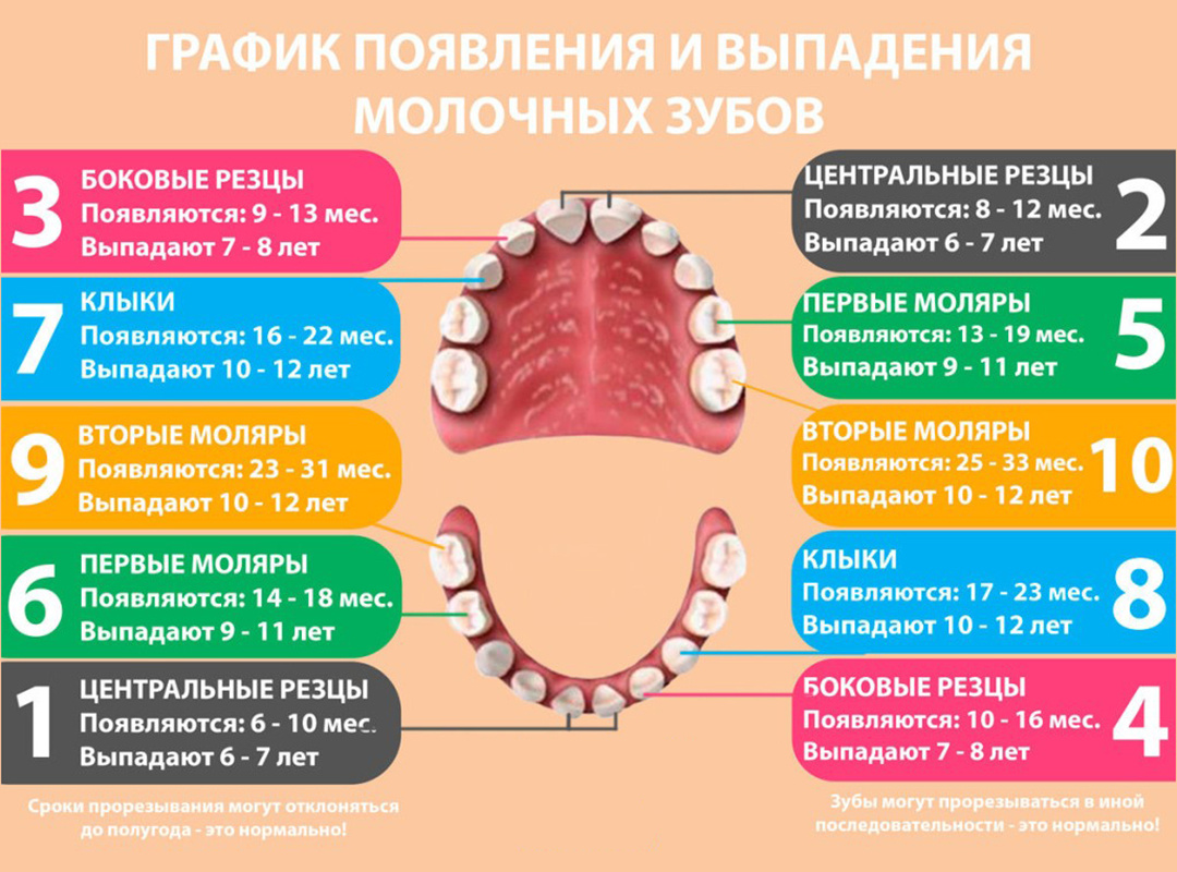 Потеря молочных зубов: советы