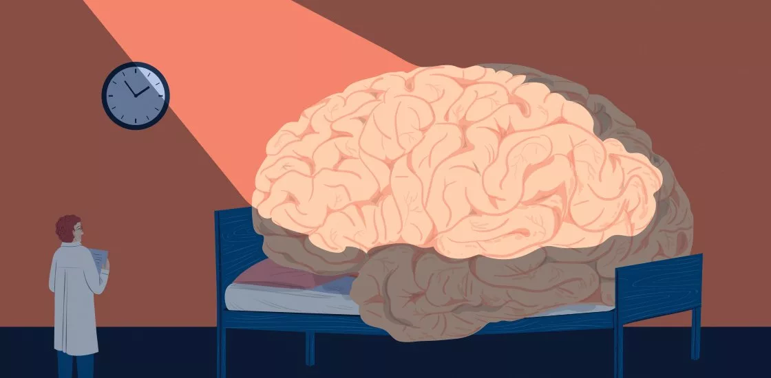 Работа мозга во время сна. Сон и мозг. Мозг отдыхает.