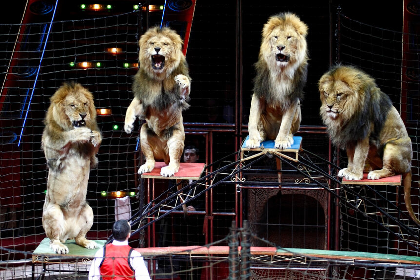 Андрей Дегтярёв / Фотобанк Лори