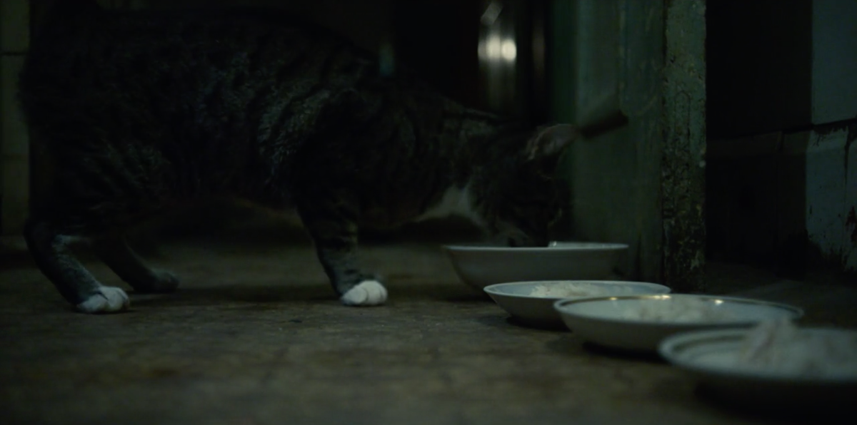 В.А. Легасов оставляет еду кошке перед тем, как свести счеты с жизнью в мини-сериале «Чернобыль»