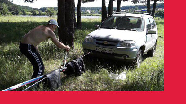 Источник фото: https://i.ytimg.com/vi/dX2FTuGEXJA/maxresdefault.jpg