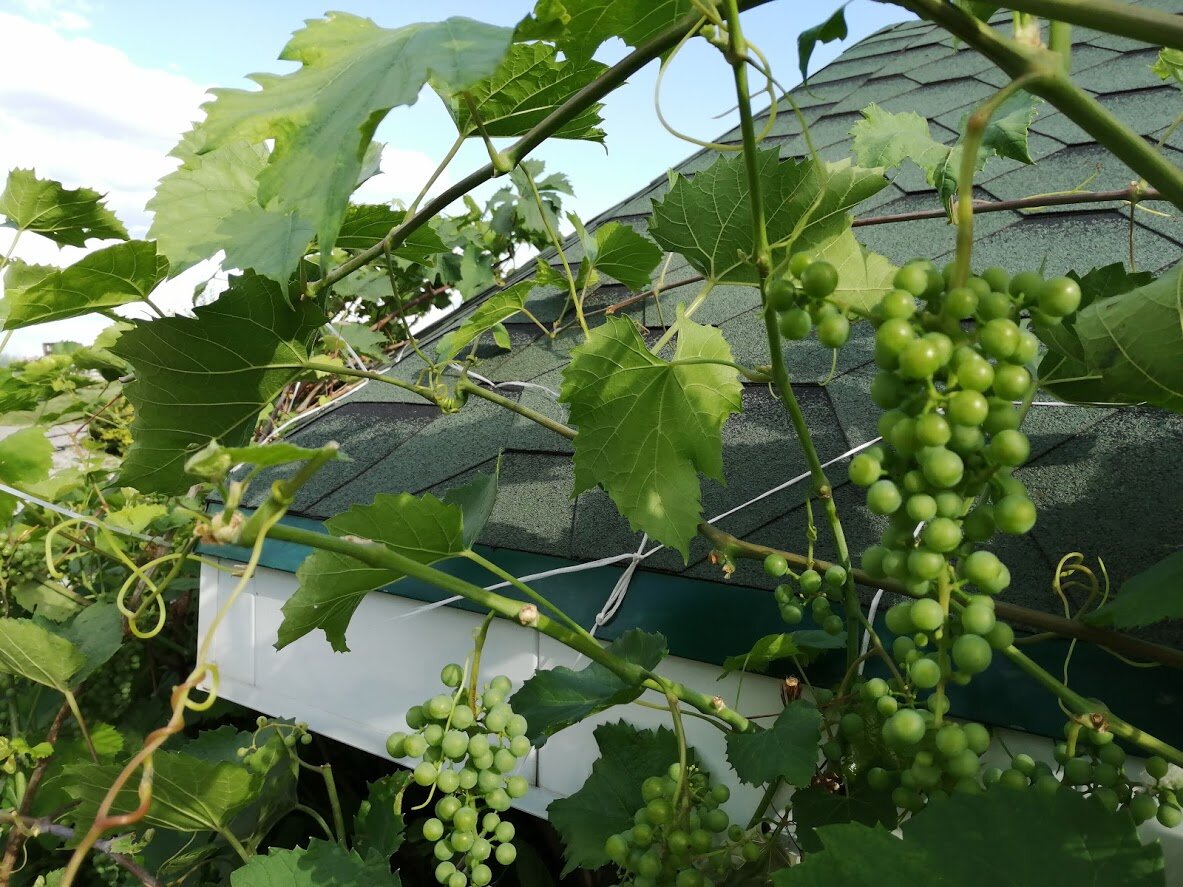 Фото Светы Давыдвой