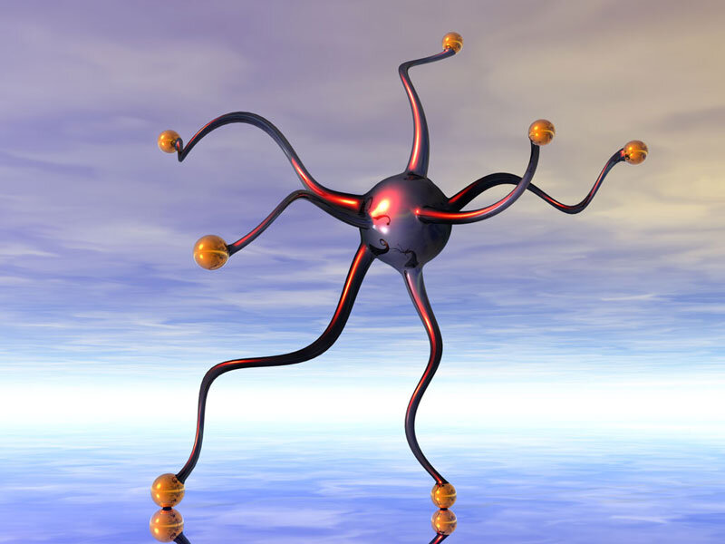 фото: яндекс