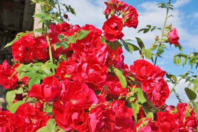 Сегодня в 12:38