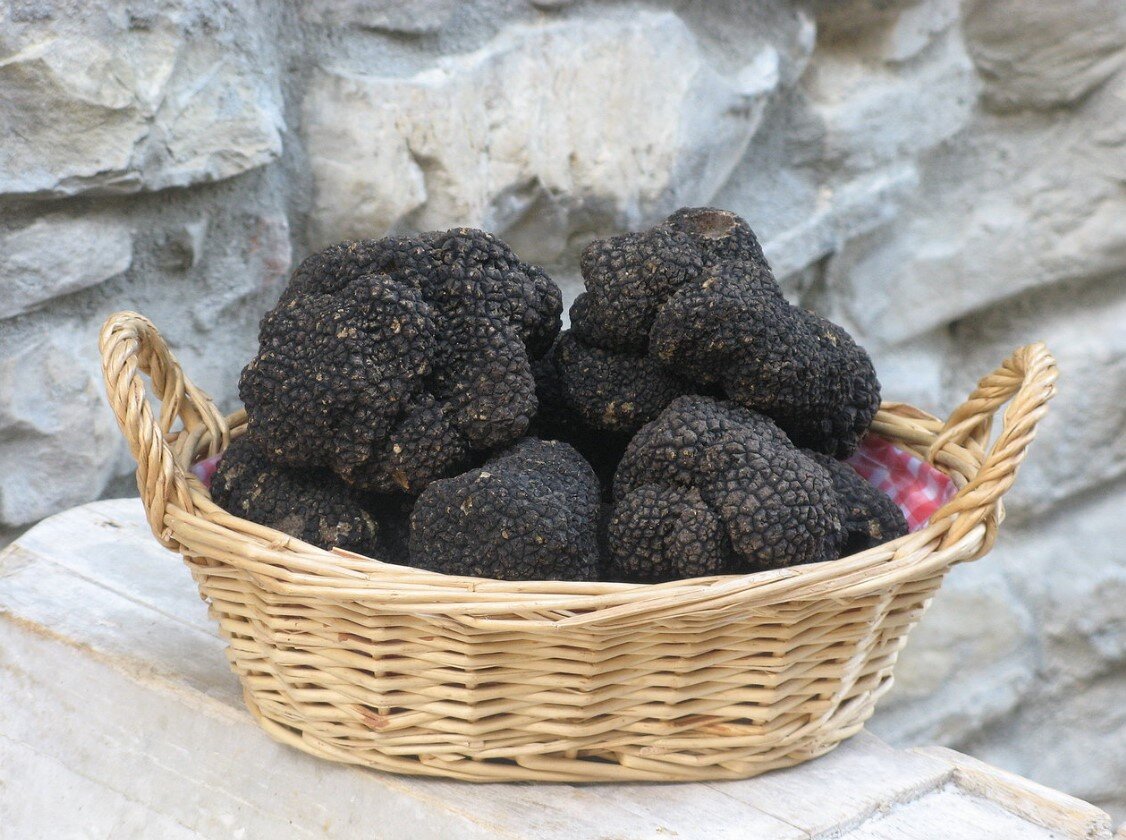 Tartufo