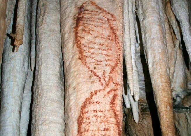 Неандертальские тюлени 