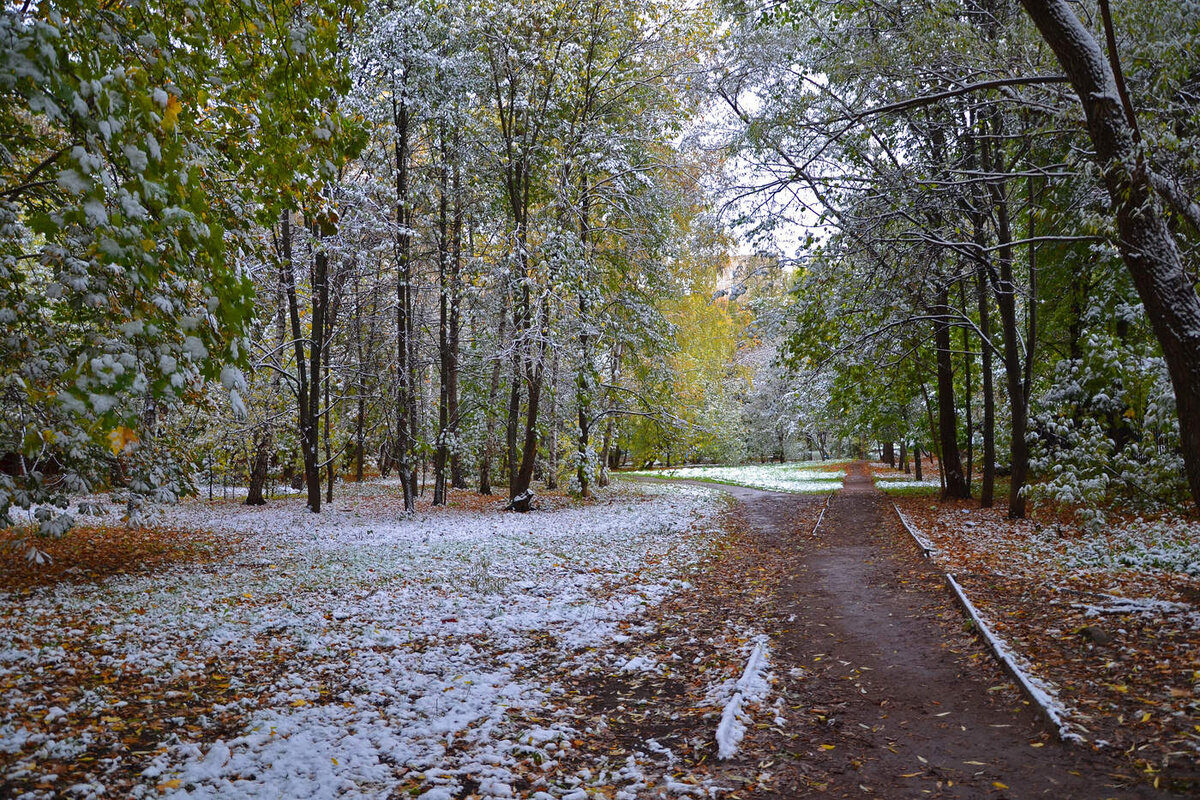 ноябрь в городе фото