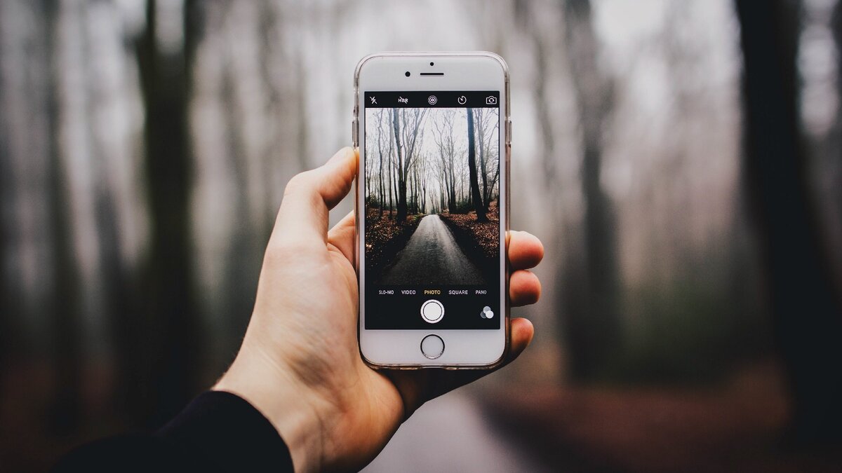 изображение взято с яндекс картинки.