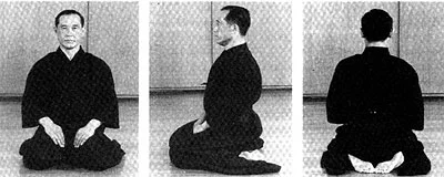 Seiza Karate