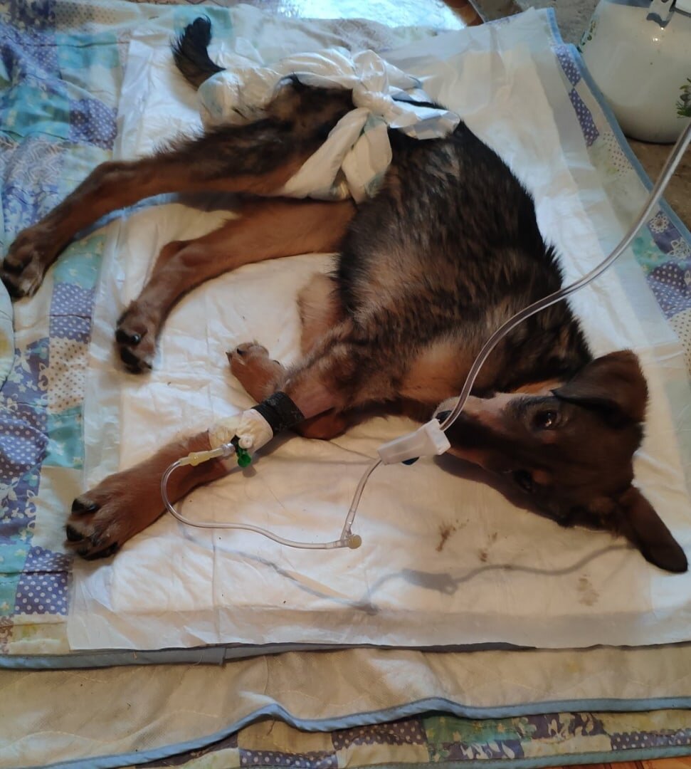 Очень терпеливо переносит все процедуры