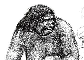 Зана отличалась чистоплотностью, чем возможно и привлекала мужчин.