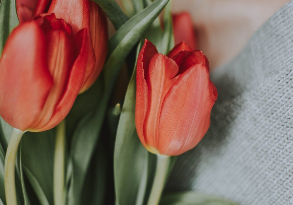 Фото: fotografierende || Источник: www.pexels.com