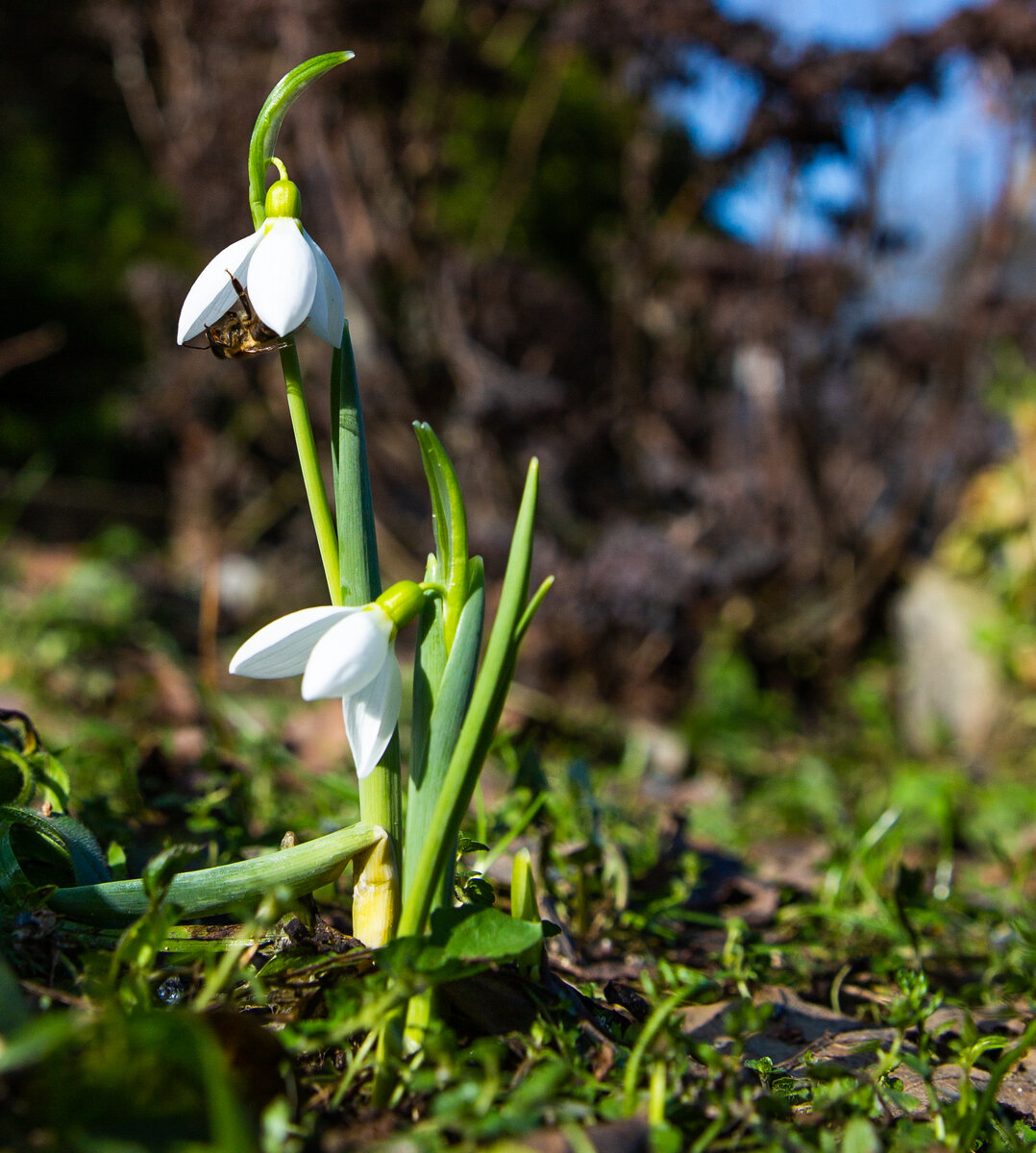 Фото из собственного архива 
