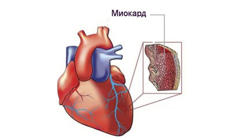 Для наглядности 