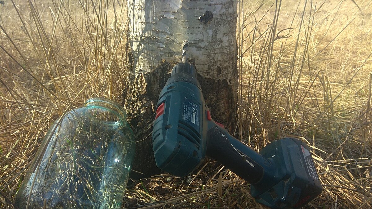 Делаю небольшое отверстие шуруповёртом, немного под углом к земле