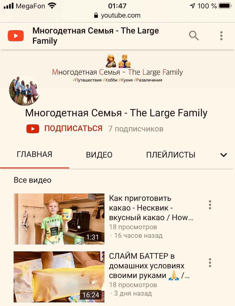 Канал “Многодетная семья - The Large Family” в YouTube
