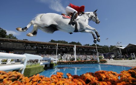 На фото: Мартин Фукс и Clooney 51 в Роттердаме 