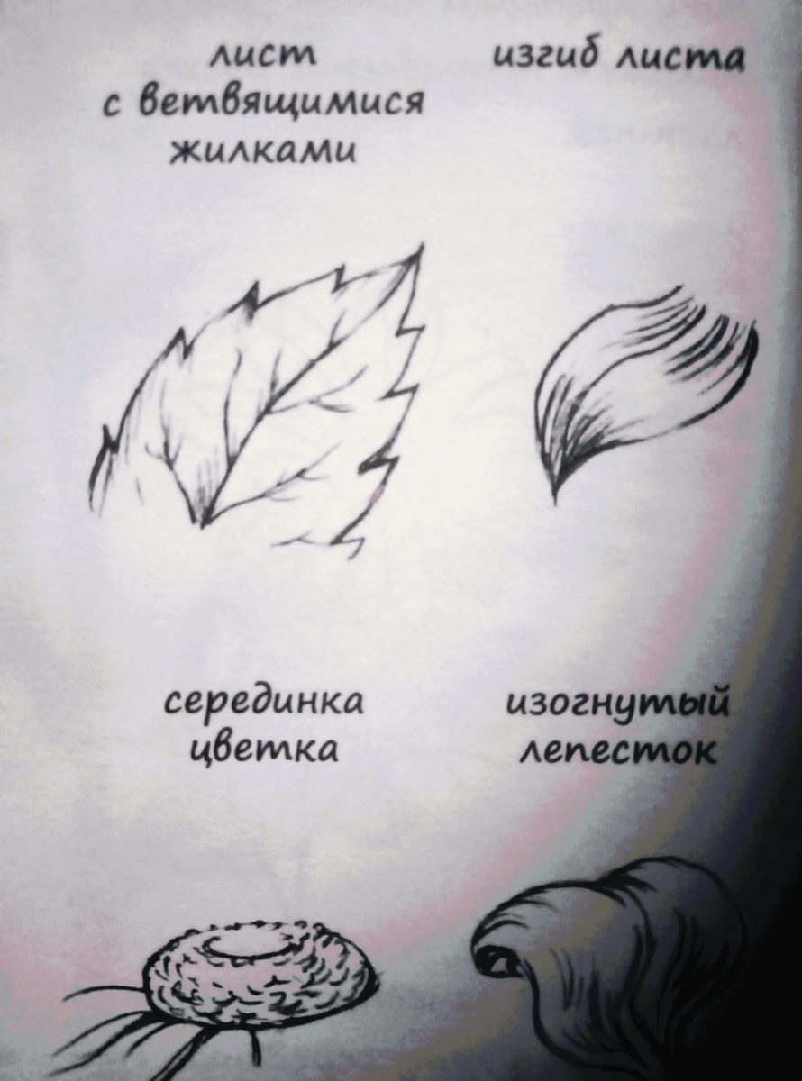  Элементы цветка🌷