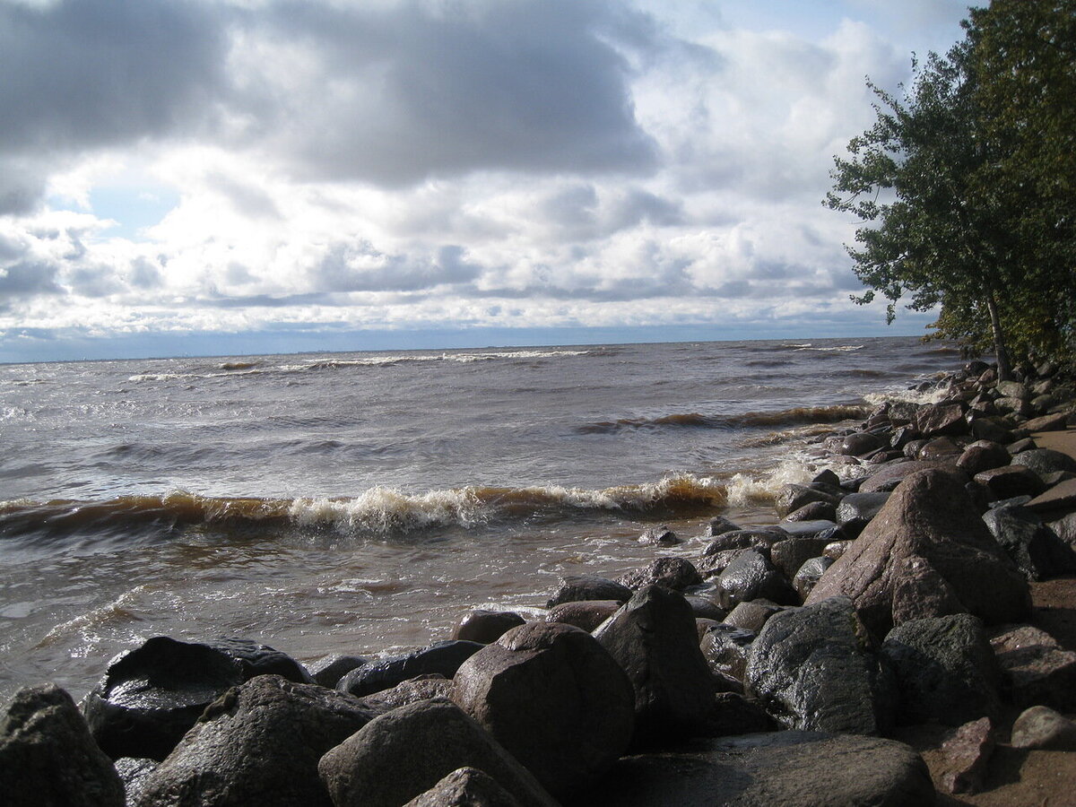 финский залив в санкт петербурге фото осенью