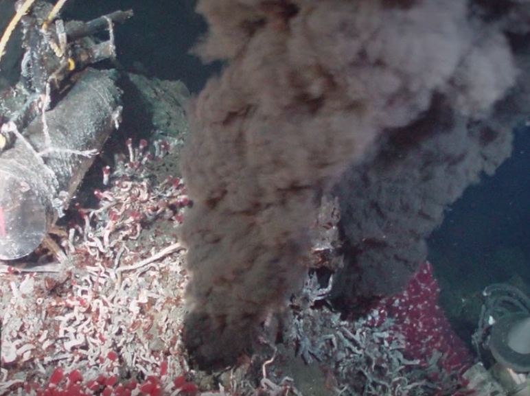 Гидротермальные жерла