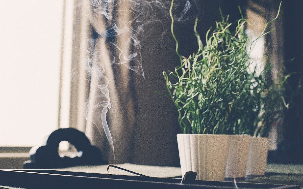 Изображение сайта Pixabay