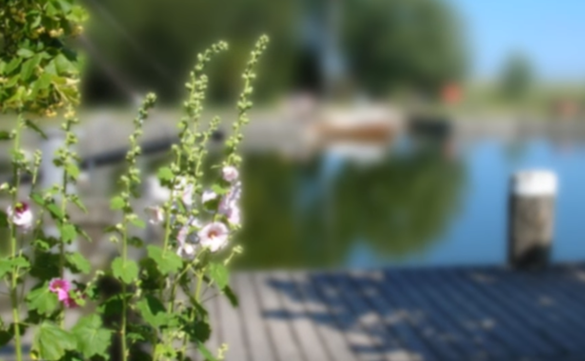 Близорукие любители логики не хотят видеть картину целиком