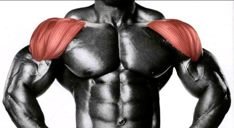 Фото взято с яндекс картинки. 