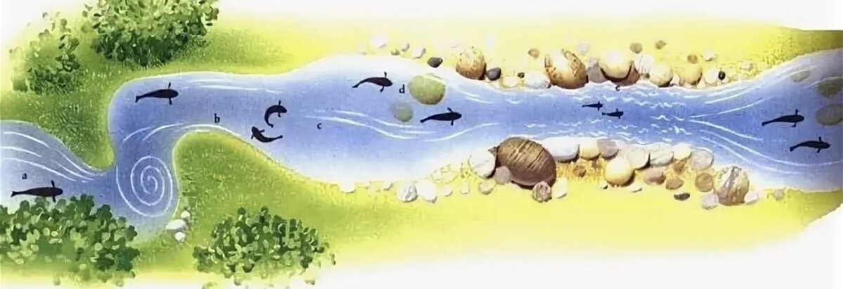 Источник -https://yandex.ru/images