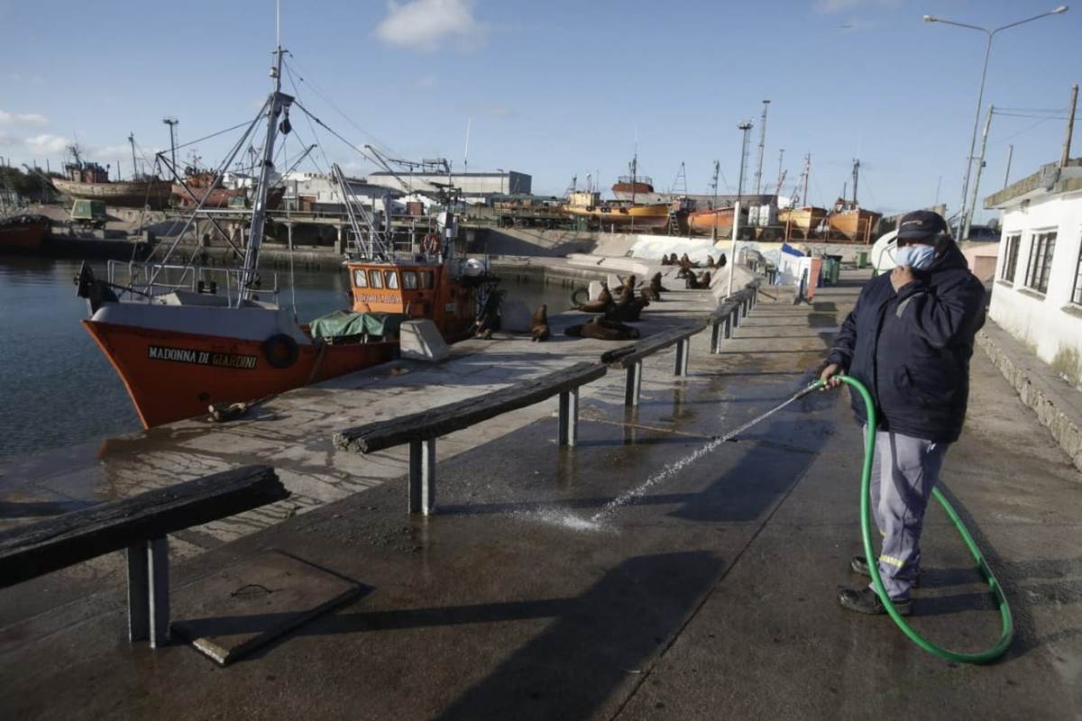 Фото: Mauro V.Rizzi