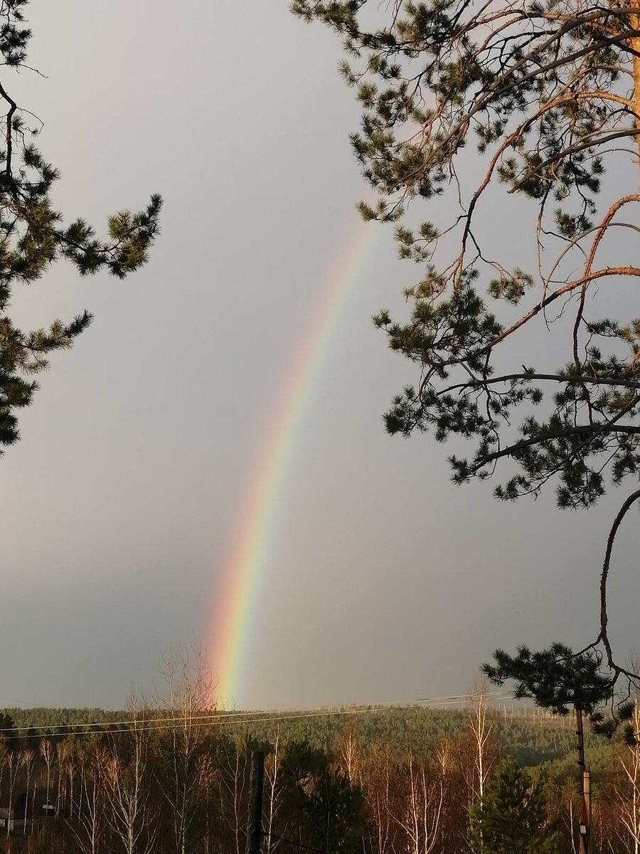 Фото соседа