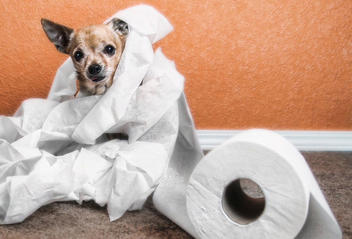 Классная игра!