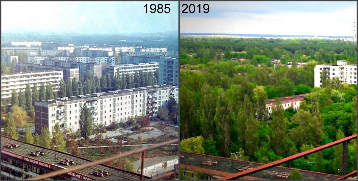 Припять спустя много лет без людей - эти перемены вы увидите сразу