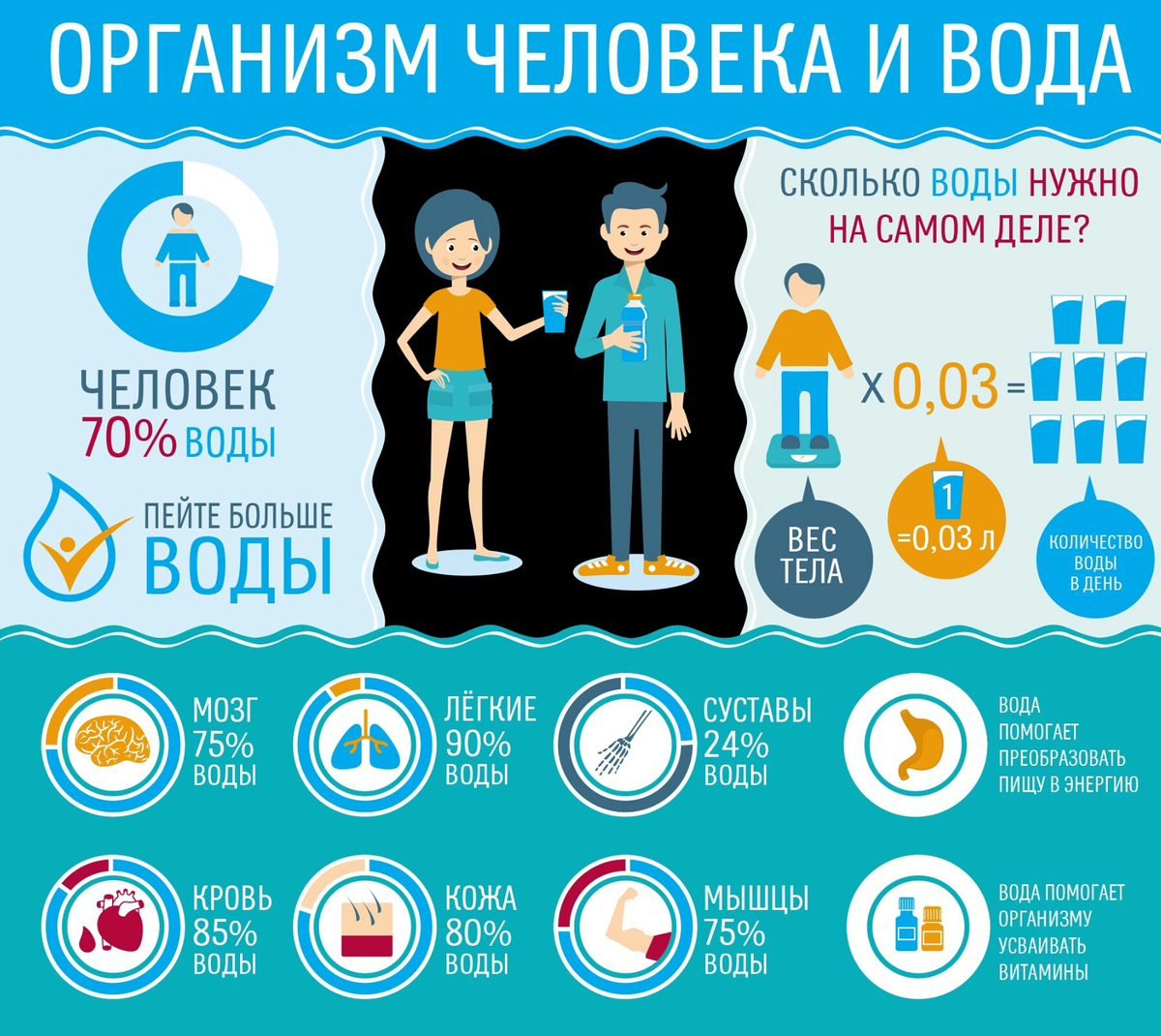 Вода более необходима человеку, чем еда
