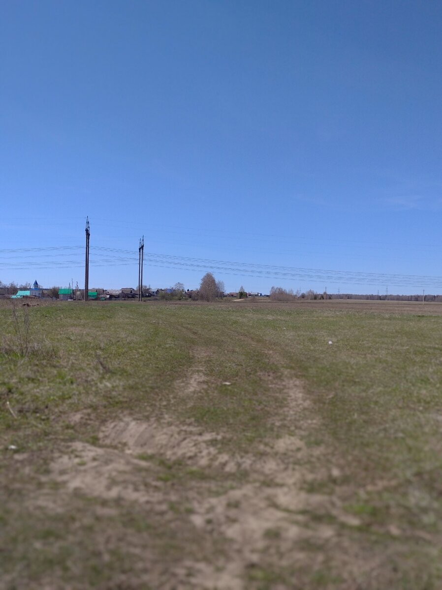 дорога к пруду