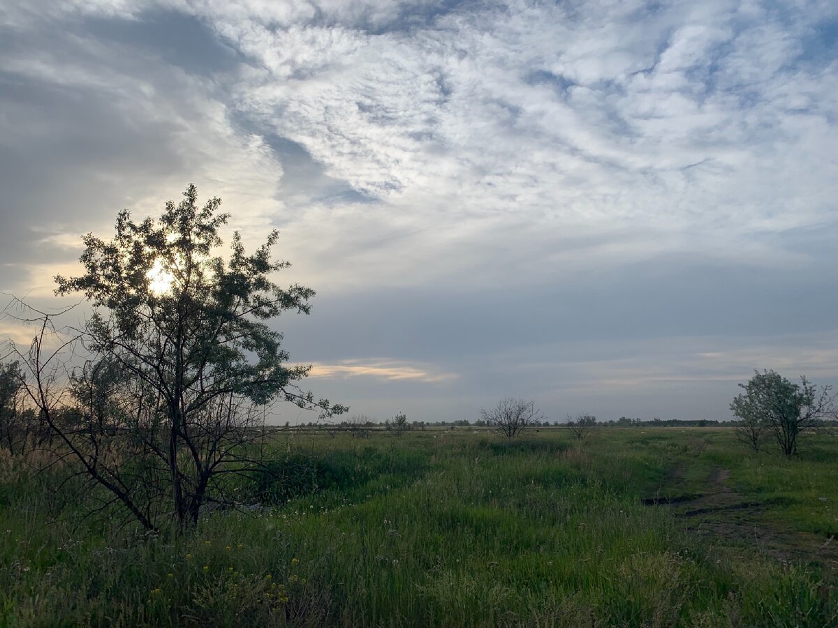 Бегаю по вечерам, чтобы крепче спать. Но сейчас не об этом. Читай👇