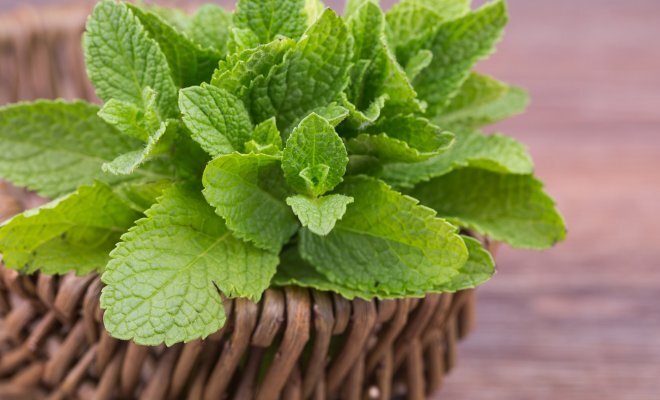 Фото взято с интернет ресурса Яндекс