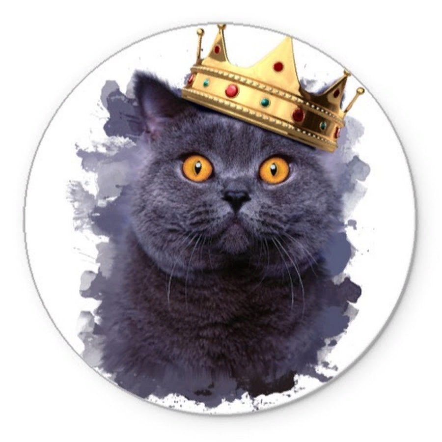 Котик с короной. Черный кот с короной на голове. Милые котики с короной.