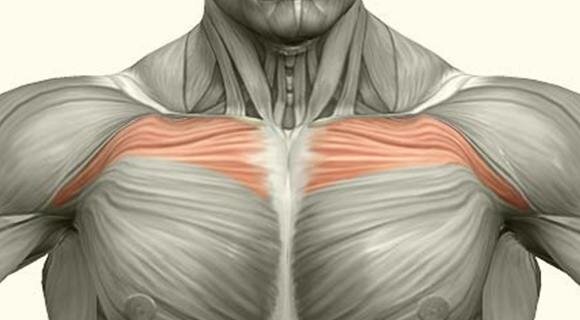 Фото груди для иллюстрации. Источник: befirst.info